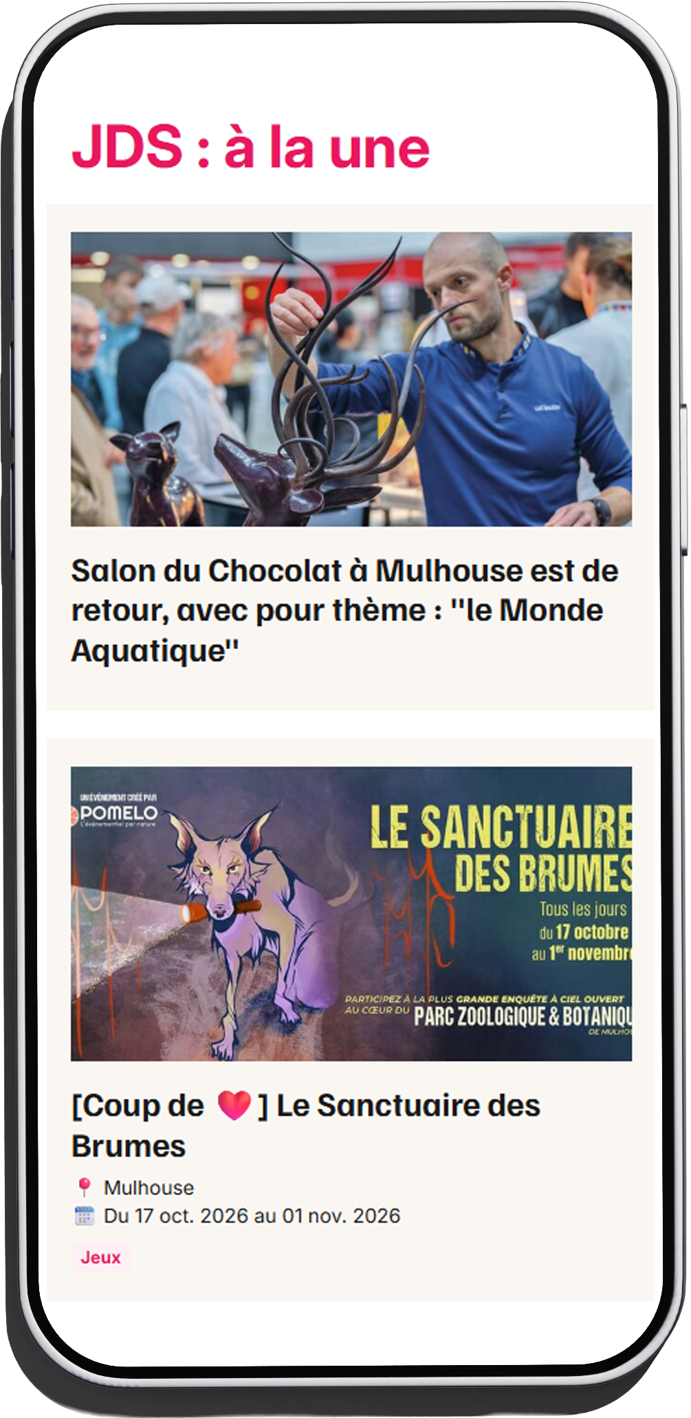 Exemple de newsletter premium